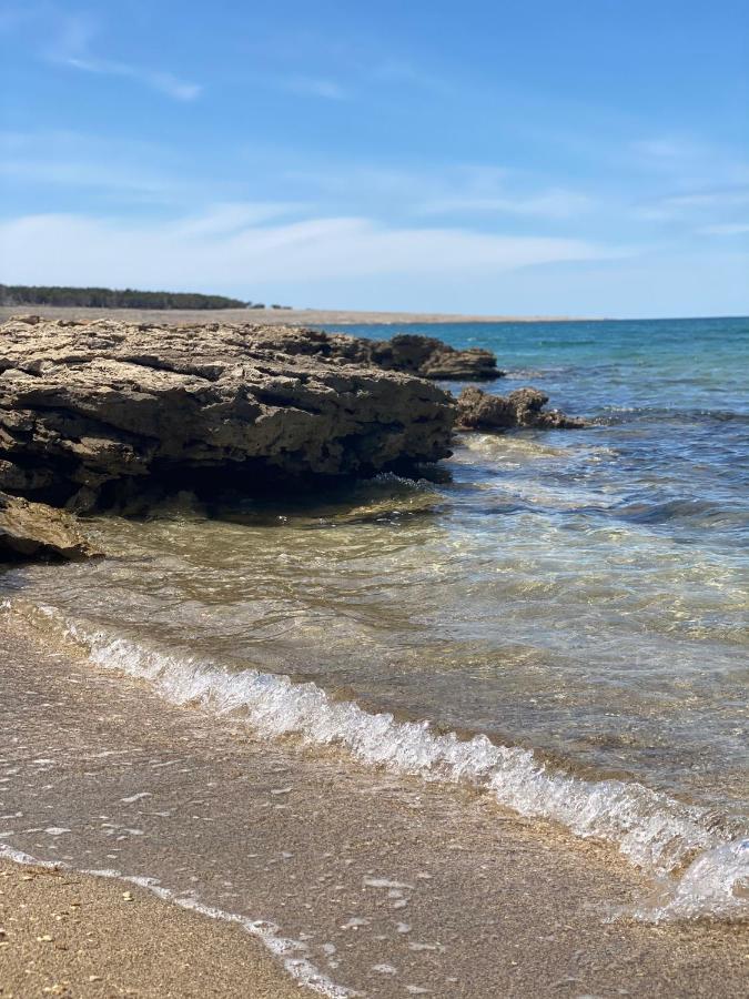 Villa Cvita Povljana Luaran gambar
