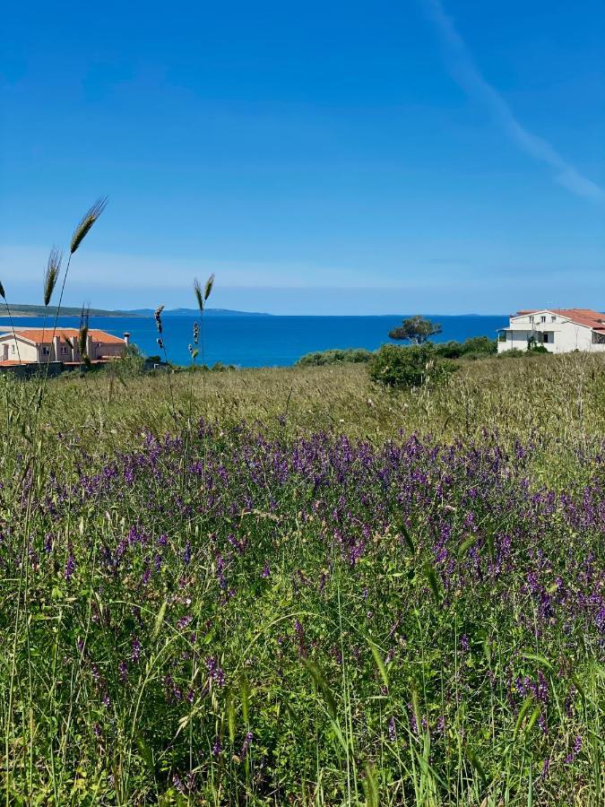 Villa Cvita Povljana Luaran gambar