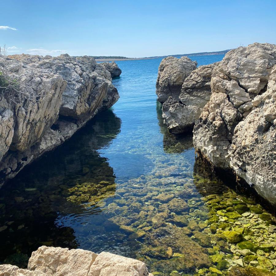 Villa Cvita Povljana Luaran gambar