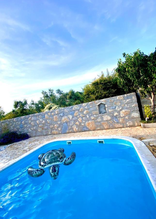 Villa Cvita Povljana Luaran gambar